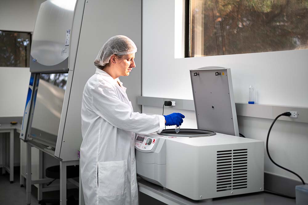 Our FMT Lab Novel Biome